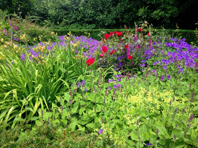 Cae Hir Gardens